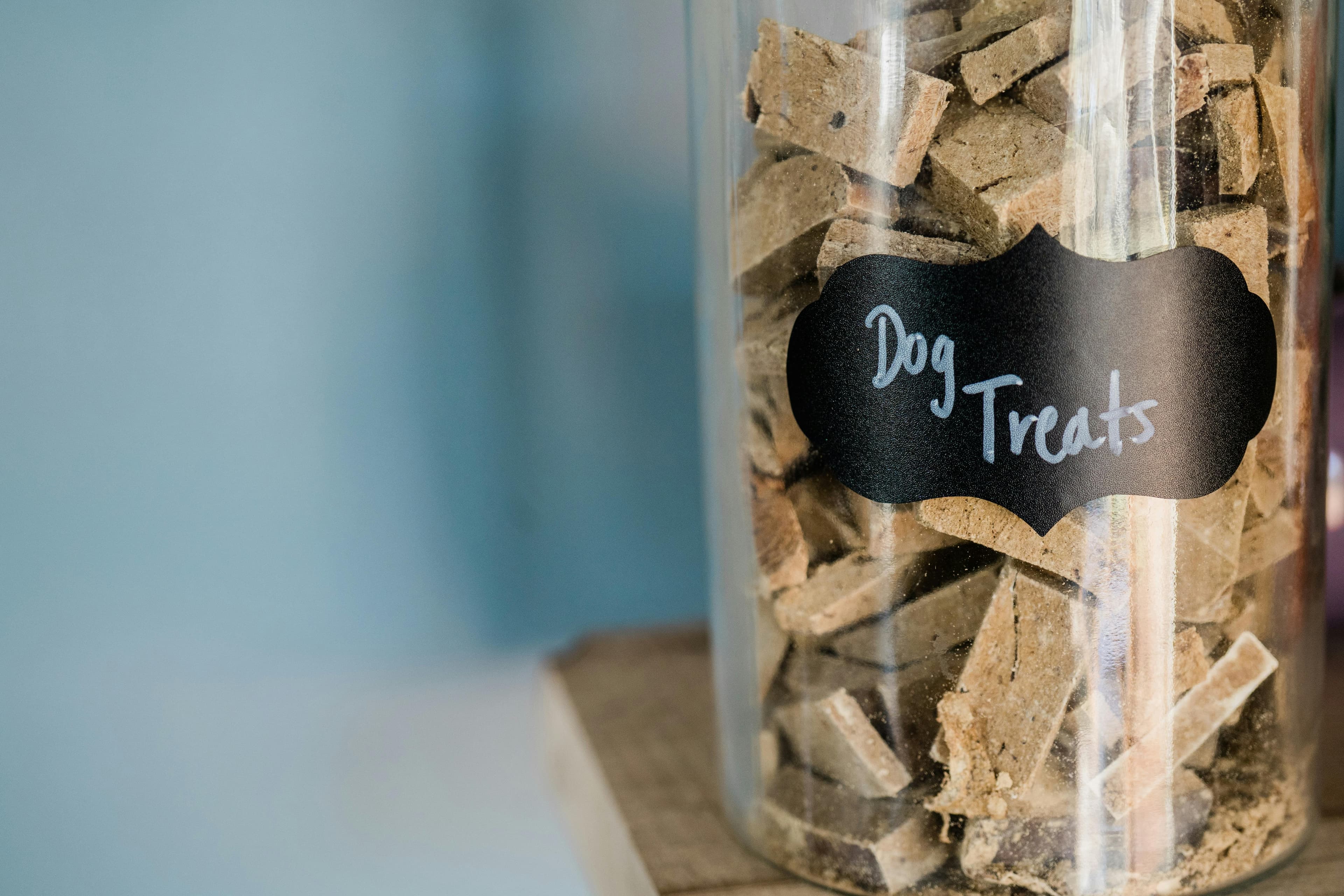 Featured image for blog post: Top Dog Food Storage Tips: Keep Kibble Fresh and Safe